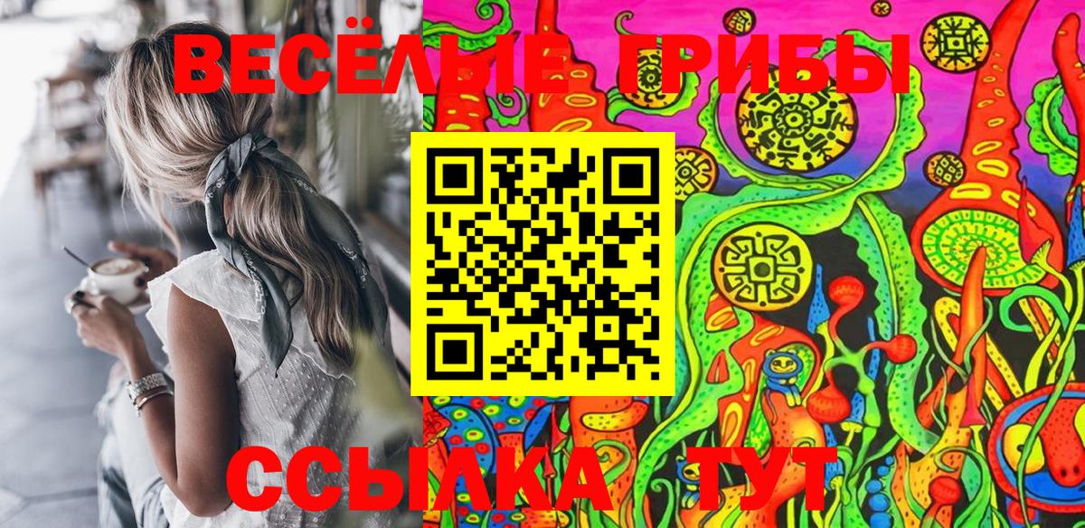 Галлюциногенные грибы Psilocybe  Галлюциногенные грибы MAGIC MUSHROOMS  Вход с VPN  Киров 
